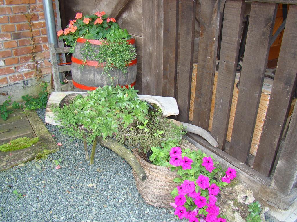 Pavlovci Country House Tunjina Kuca Stara Kapelaゲストハウス エクステリア 写真
