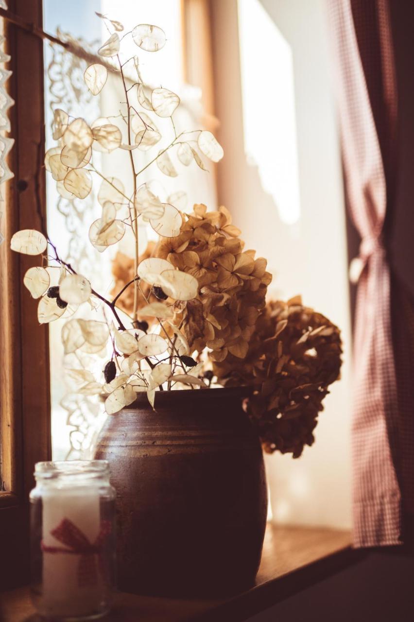 Pavlovci Country House Tunjina Kuca Stara Kapelaゲストハウス エクステリア 写真